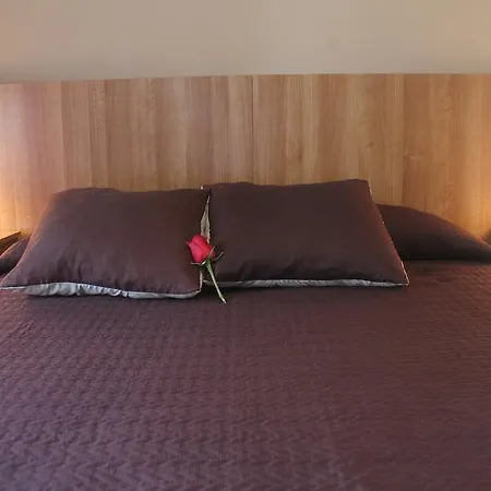 Guest house San Jose